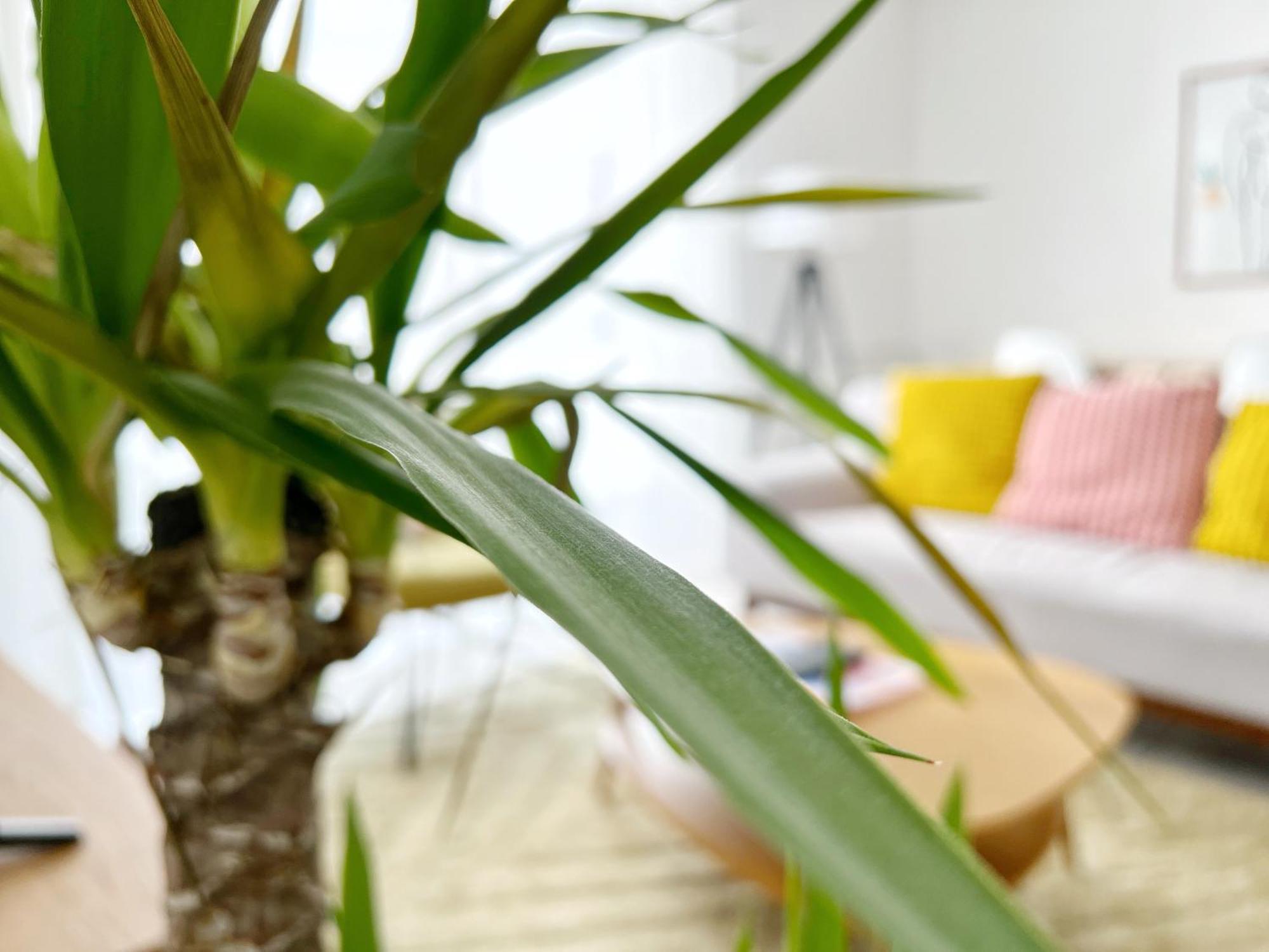 Le Viarm'Elite Apartment Nantes Exterior photo